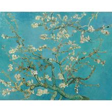 Almond Branches in Bloom Wall Mural