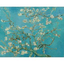 Almond Branches in Bloom Wall Mural