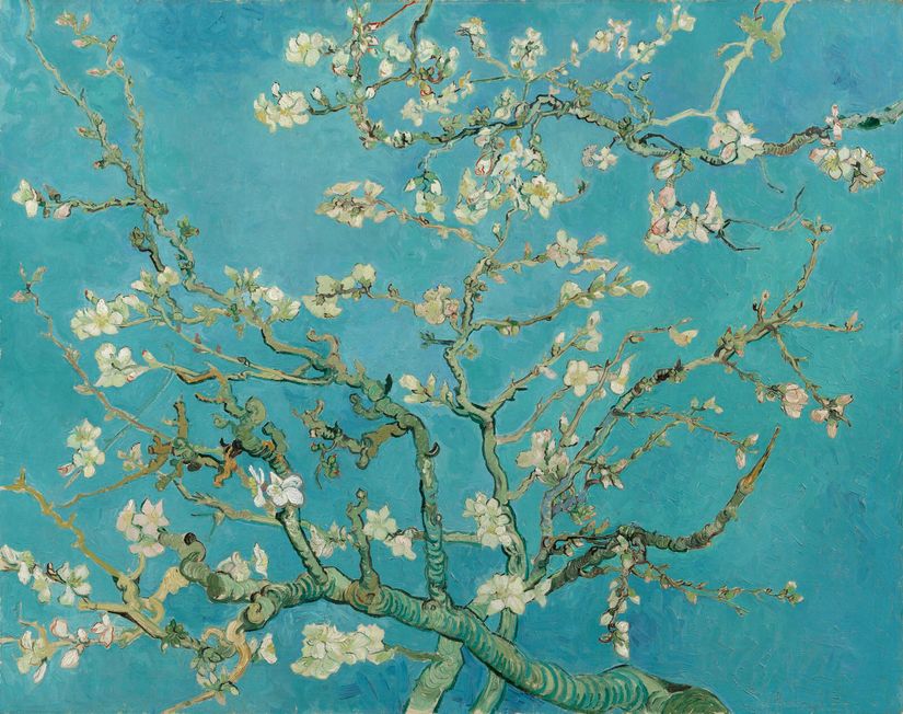 Almond-Branches-in-Bloom-Wall-Mural