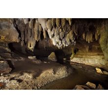 Waipu Caves, New Zealand Wall Mural