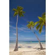 Hammock In Fiji Wall Mural