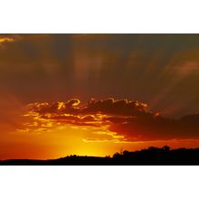 Sunset In South Africa Wall Mural