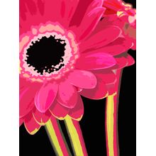 Pink Heat Wall Mural