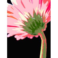 Abstract Daisy Wall Mural