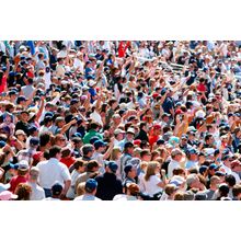 Baseball Crowd Wall Mural