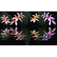 Flower Reflection Wall Mural