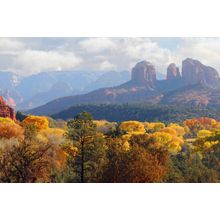 Sedona Foliage Wall Mural