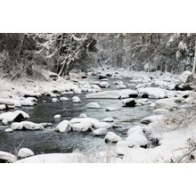 Yosemite River Wall Mural