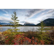 Vermilion Lakes And Mount Rundle Wall Mural