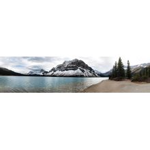 Bow Lake Panoramic Wall Mural