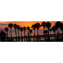 Last Moments of Sunset in Oceanside Wall Mural