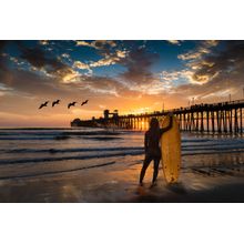Admiration Wall Mural