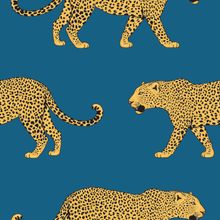 Leopards On Blue Wallpaper