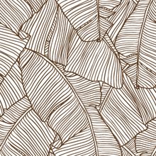 Banana Leaf Lines Pattern Wallpaper