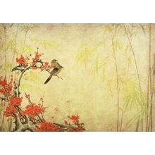 Plum Blossom Birds Wallpaper Mural