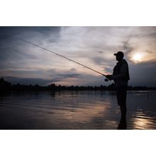Fishing In The Dark Wall Mural