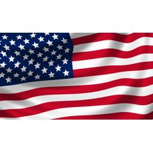 American Flag Wave Wall Mural