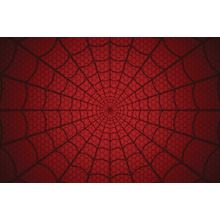 Black Spider Web Mural Wallpaper