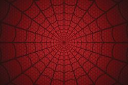 A life size black spider web against a red background