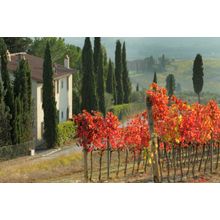 Farmhouse In Tuscan Scenery Wall Mural