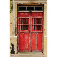 Red Door and Black Cat Wall Mural