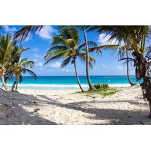 Beautiful Sandy Beach And Tropical View Wall Mural