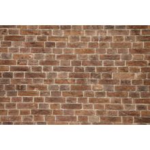 Brown Brick Wall Mural