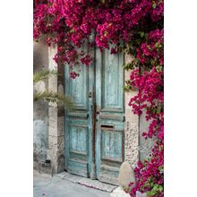 Old Wooden Door With Bougainvillea In Cyprus Wall Mural