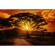 Africa Sunset Wall Mural