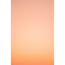 Orange Coral Fade Wall Mural