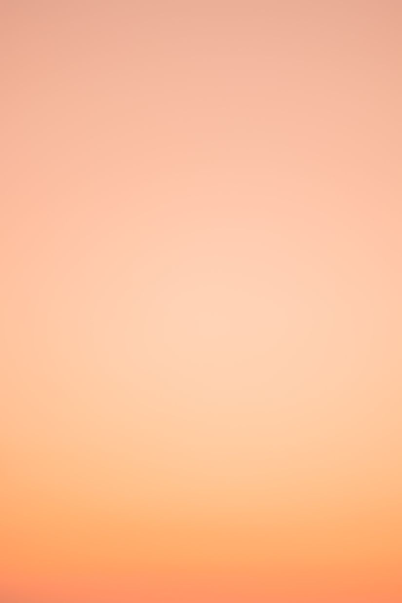 Orange Coral Fade Mural Murals Your Way