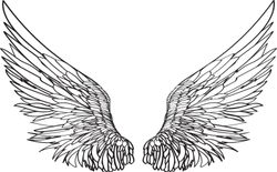 hand-drawn-angel-wings-wallpaper