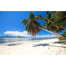 Seychelles Beach Wall Mural