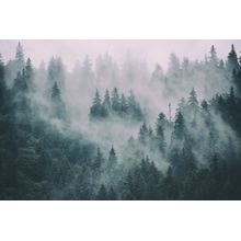 Misty Mountain  Forest Landscape Wall Mural