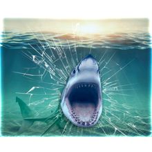 Shark Breaking Glass Wall Mural