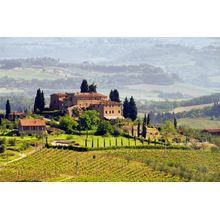 Tuscany Vineyard Wall Mural