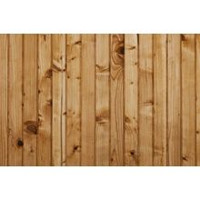 Pine Wood Planks Wall Mural