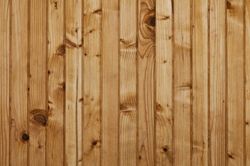 Pine-Wood-Planks-Wall-Mural