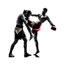 Kickbox Training Wall Mural