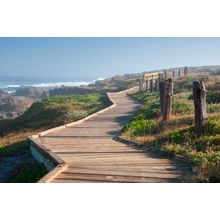 Wooden Boardwalk On 17 Mile Drive Wall Mural