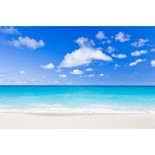 Foul Bay Barbados Wall Mural