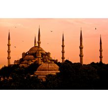 The Blue Mosque Wall Mural