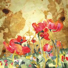 Watercolor Poppy Flowers Mural Wallpaper