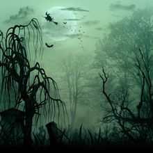 Misty Halloween Night Wall Mural