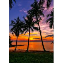 Tropical Beach At Sunset Wall Mural