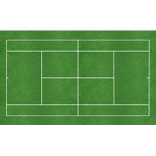Green Tennis Court Wall Mural
