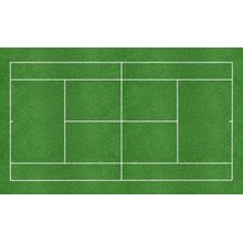 Green Tennis Court Wall Mural