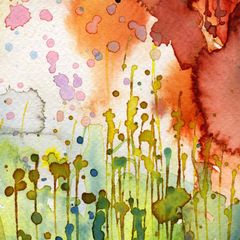 Splashes Of Color Wall Mural