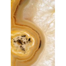 The Bud Of An Agate Wall Mural