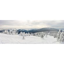 Snieznik Mountain Slope Wall Mural